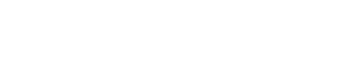Fiscal Code